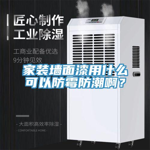 家裝墻面漆用什么可以防霉防潮啊？