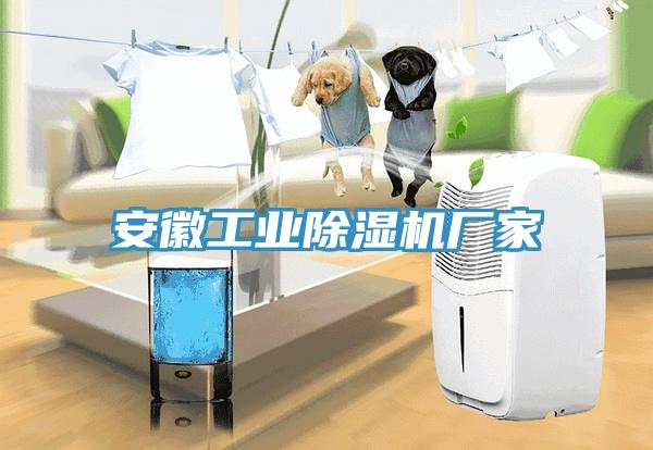 安徽工業(yè)除濕機廠家