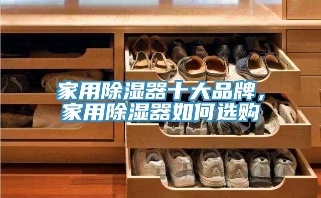 家用除濕器十大品牌，家用除濕器如何選購