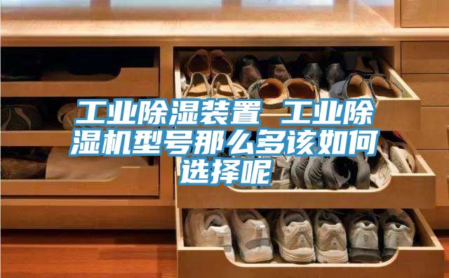 工業(yè)除濕裝置 工業(yè)除濕機型號那么多該如何選擇呢