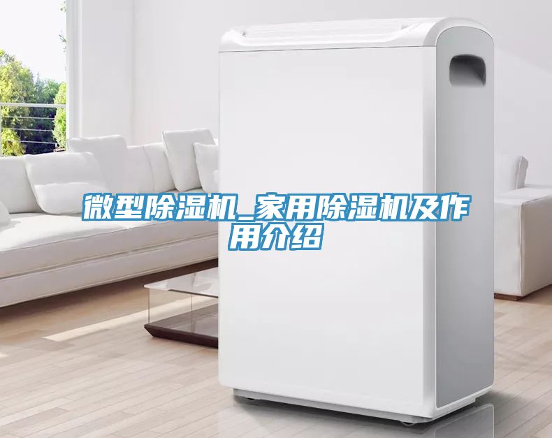 微型除濕機_家用除濕機及作用介紹