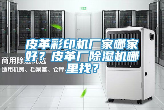 皮革彩印機廠家哪家好？皮革廠除濕機哪里找？