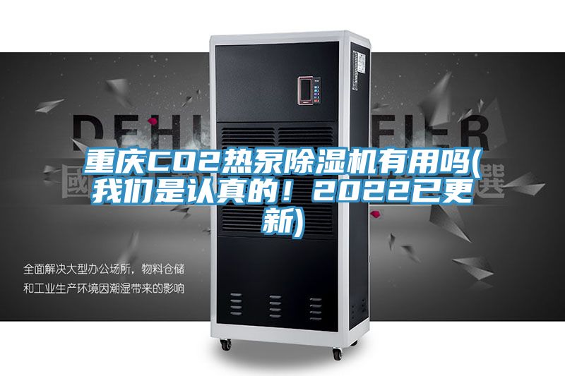 重慶CO2熱泵除濕機有用嗎(我們是認真的！2022已更新)