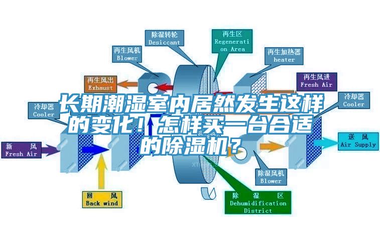 長期潮濕室內(nèi)居然發(fā)生這樣的變化！怎樣買一臺(tái)合適的除濕機(jī)？