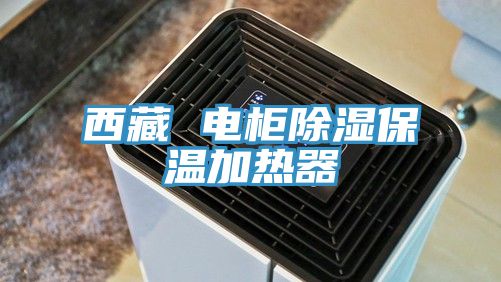 西藏 電柜除濕保溫加熱器