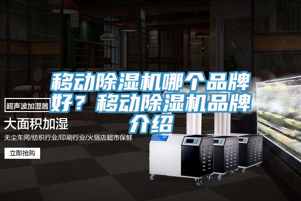 移動除濕機(jī)哪個品牌好？移動除濕機(jī)品牌介紹