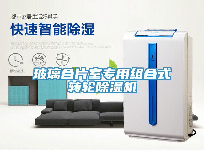 玻璃合片室專用組合式轉(zhuǎn)輪除濕機