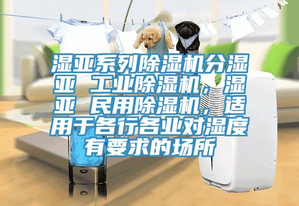 濕亞系列除濕機(jī)分濕亞 工業(yè)除濕機(jī)，濕亞 民用除濕機(jī)，適用于各行各業(yè)對(duì)濕度有要求的場(chǎng)所