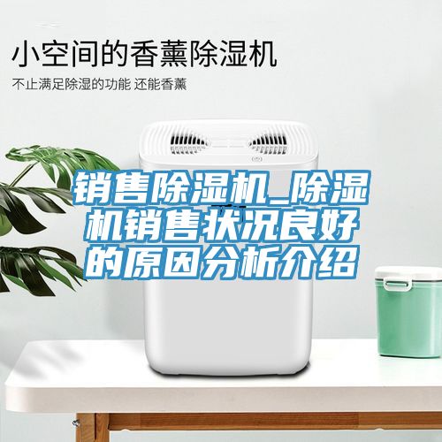 銷售除濕機_除濕機銷售狀況良好的原因分析介紹