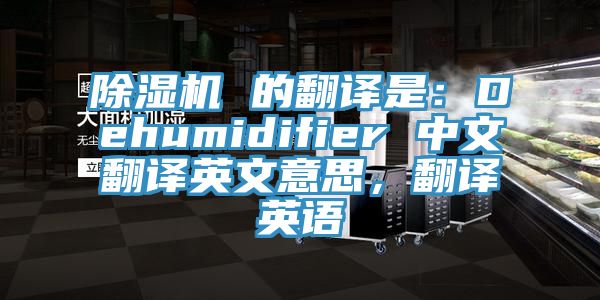 除濕機(jī) 的翻譯是：Dehumidifier 中文翻譯英文意思，翻譯英語