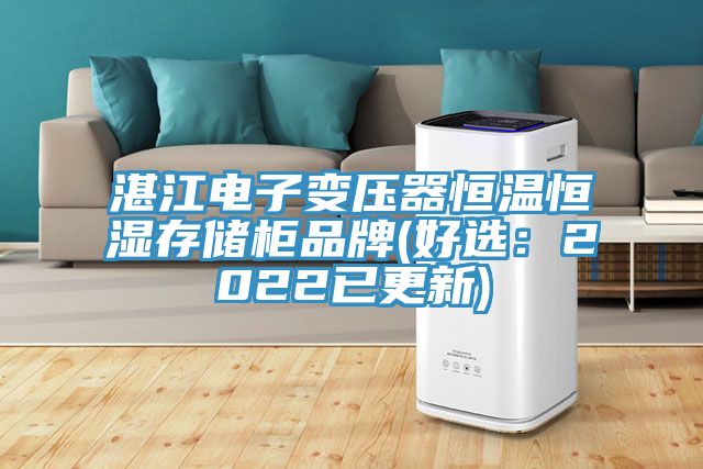 湛江電子變壓器恒溫恒濕存儲(chǔ)柜品牌(好選：2022已更新)