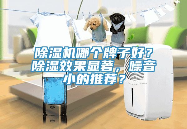 除濕機哪個牌子好？除濕效果顯著，噪音小的推薦？