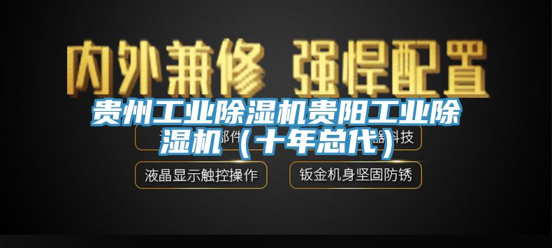 貴州工業(yè)除濕機貴陽工業(yè)除濕機（十年總代）