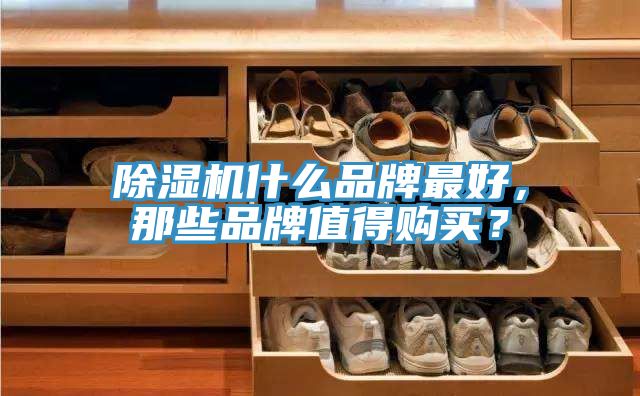 除濕機(jī)什么品牌最好，那些品牌值得購(gòu)買(mǎi)？