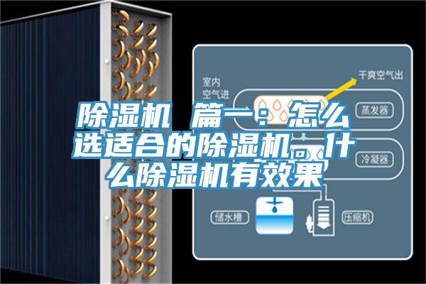 除濕機 篇一：怎么選適合的除濕機。什么除濕機有效果