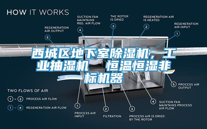 西城區(qū)地下室除濕機，工業(yè)抽濕機  恒溫恒濕非標機器