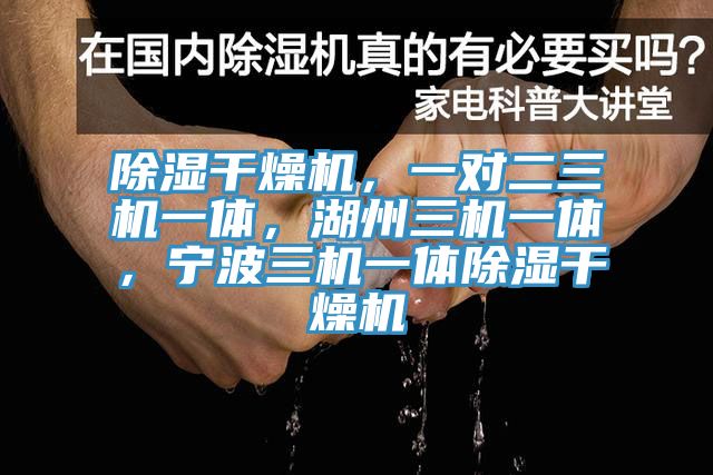 除濕干燥機，一對二三機一體，湖州三機一體，寧波三機一體除濕干燥機