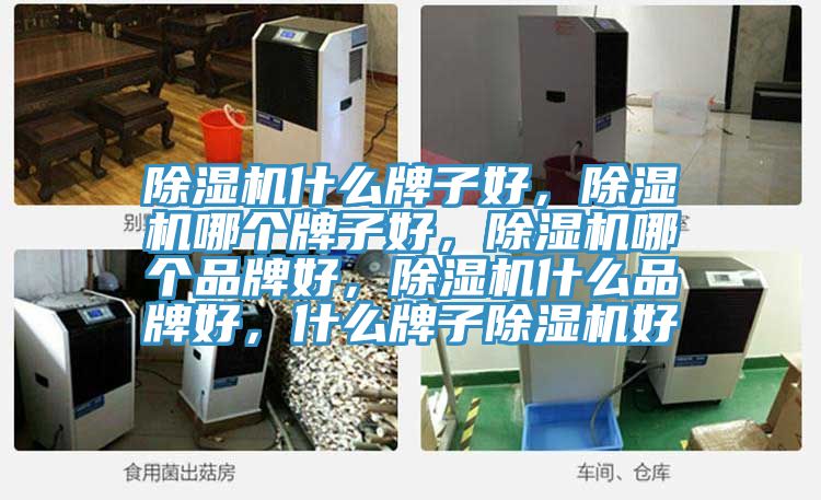 除濕機什么牌子好，除濕機哪個牌子好，除濕機哪個品牌好，除濕機什么品牌好，什么牌子除濕機好