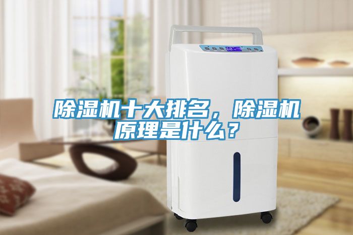 除濕機十大排名，除濕機原理是什么？