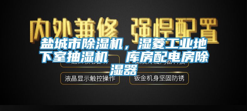 鹽城市除濕機，濕菱工業(yè)地下室抽濕機  庫房配電房除濕器