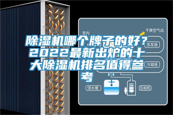 除濕機(jī)哪個牌子的好？2022最新出爐的十大除濕機(jī)排名值得參考