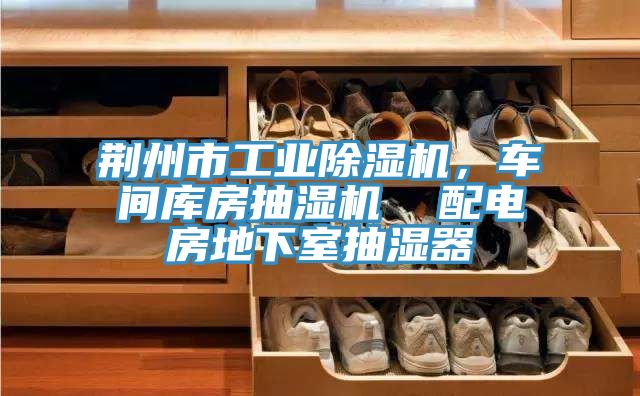 荊州市工業(yè)除濕機，車間庫房抽濕機  配電房地下室抽濕器