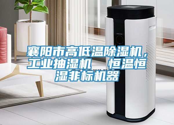 襄陽市高低溫除濕機，工業(yè)抽濕機  恒溫恒濕非標機器