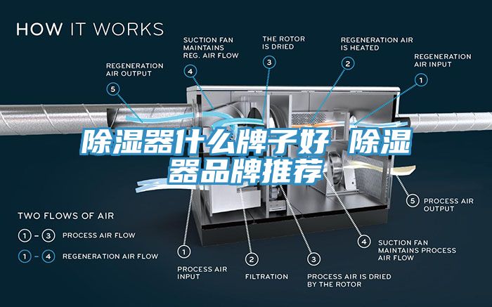 除濕器什么牌子好 除濕器品牌推薦