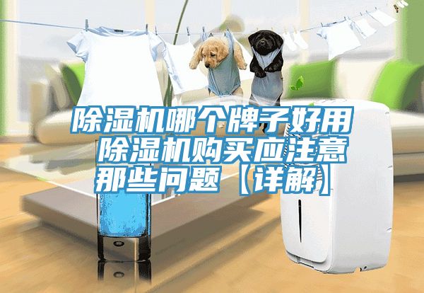 除濕機哪個牌子好用 除濕機購買應(yīng)注意那些問題【詳解】