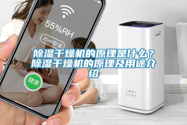 除濕干燥機的原理是什么？除濕干燥機的原理及用途介紹