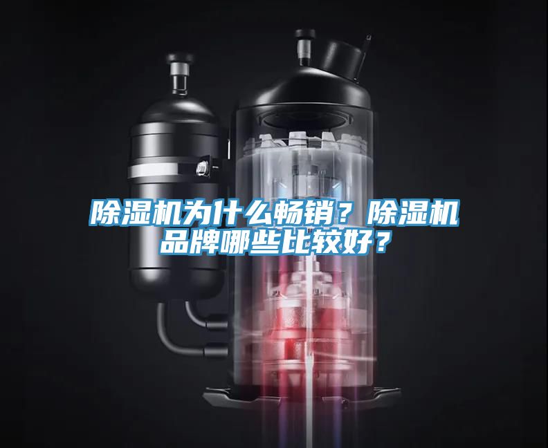 除濕機(jī)為什么暢銷？除濕機(jī)品牌哪些比較好？