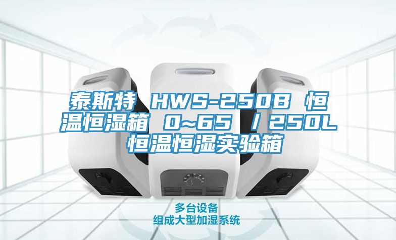 泰斯特 HWS-250B 恒溫恒濕箱 0~65℃／250L 恒溫恒濕實驗箱