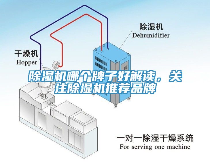 除濕機(jī)哪個(gè)牌子好解讀，關(guān)注除濕機(jī)推薦品牌