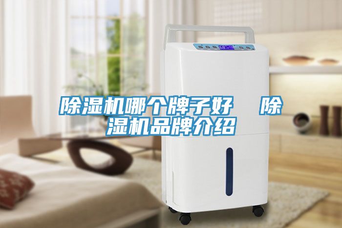 除濕機哪個牌子好  除濕機品牌介紹