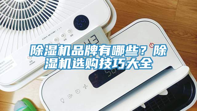 除濕機(jī)品牌有哪些？除濕機(jī)選購技巧大全