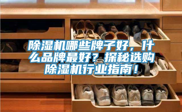 除濕機哪些牌子好，什么品牌最好？探秘選購除濕機行業(yè)指南！