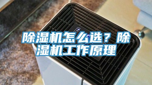 除濕機怎么選？除濕機工作原理