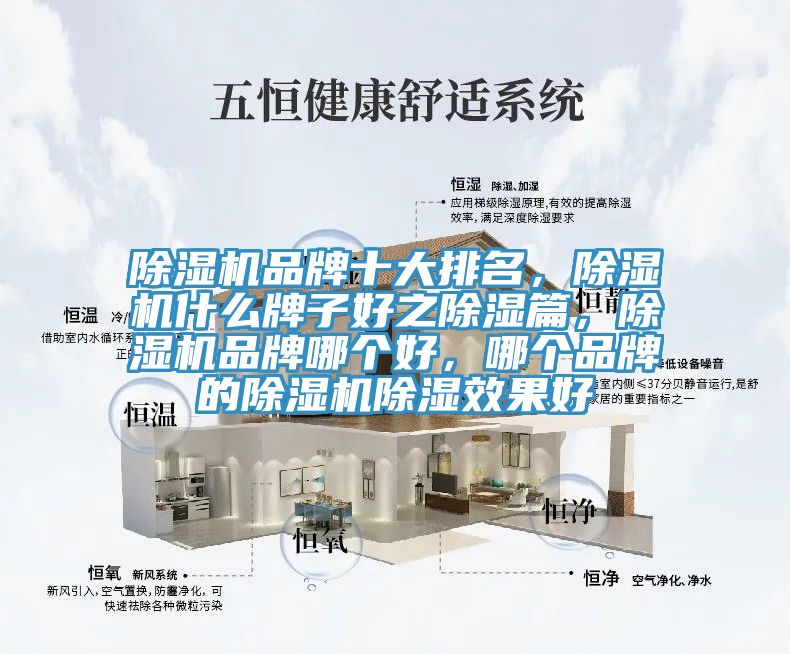 除濕機(jī)品牌十大排名，除濕機(jī)什么牌子好之除濕篇，除濕機(jī)品牌哪個好，哪個品牌的除濕機(jī)除濕效果好