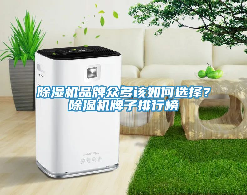 除濕機品牌眾多該如何選擇？除濕機牌子排行榜