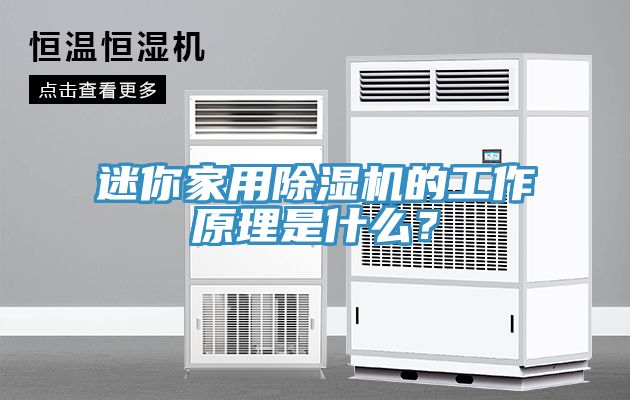 迷你家用除濕機(jī)的工作原理是什么？