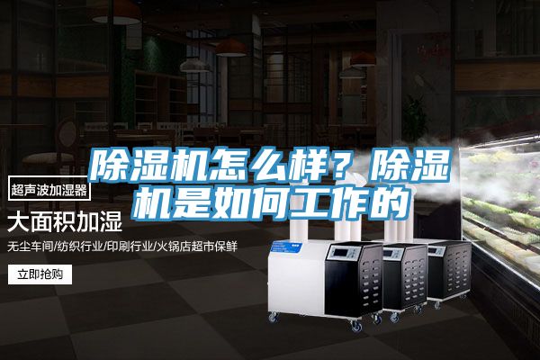 除濕機怎么樣？除濕機是如何工作的