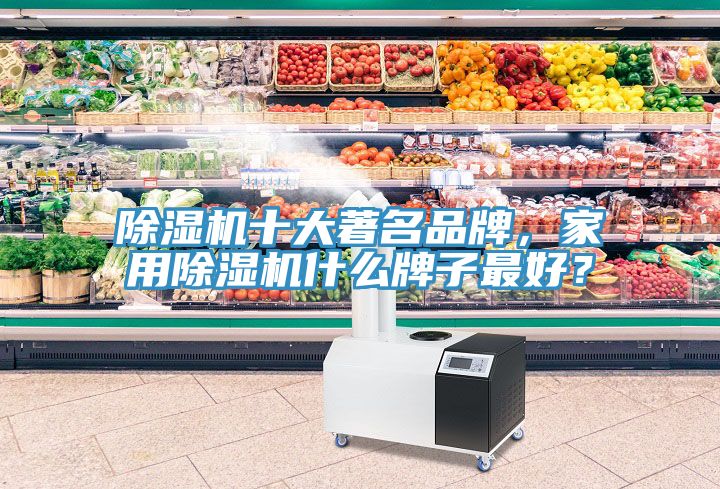 除濕機十大著名品牌，家用除濕機什么牌子最好？