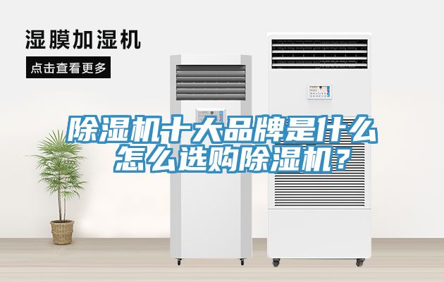 除濕機(jī)十大品牌是什么 怎么選購除濕機(jī)？