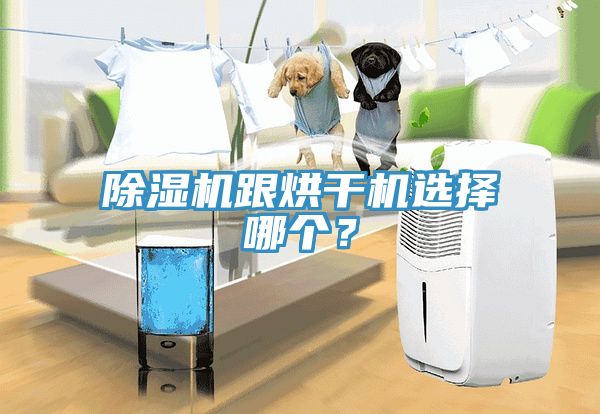 除濕機(jī)跟烘干機(jī)選擇哪個(gè)？