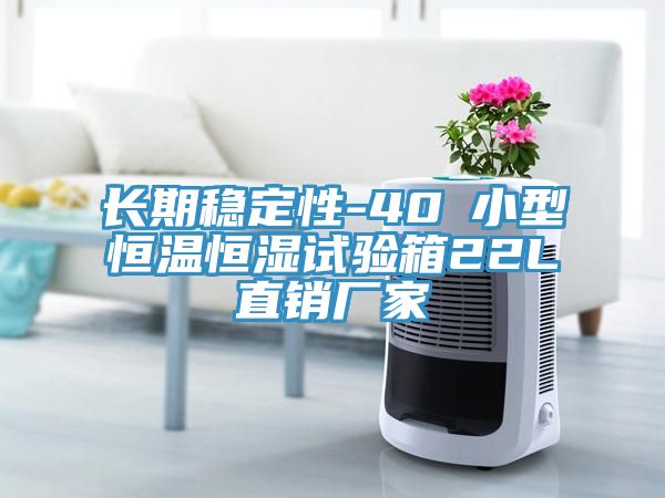 長期穩(wěn)定性-40℃小型恒溫恒濕試驗箱22L直銷廠家