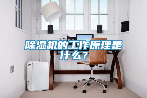 除濕機的工作原理是什么？