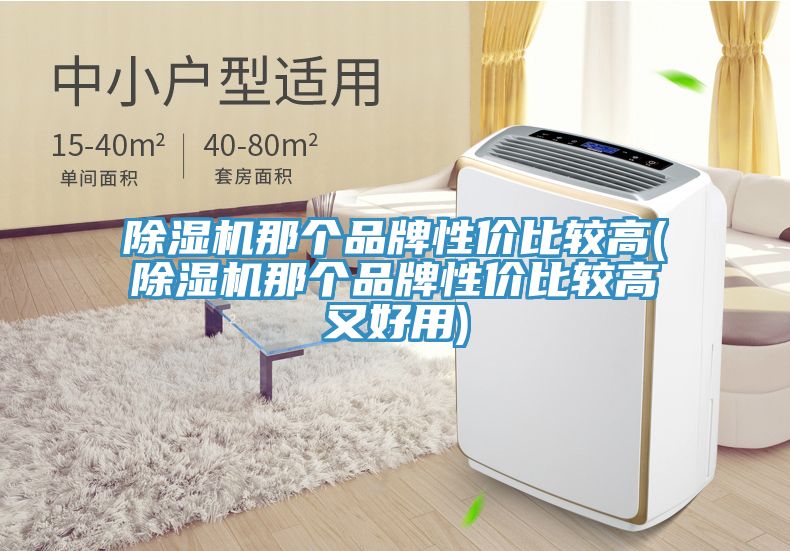 除濕機(jī)那個品牌性價比較高(除濕機(jī)那個品牌性價比較高又好用)