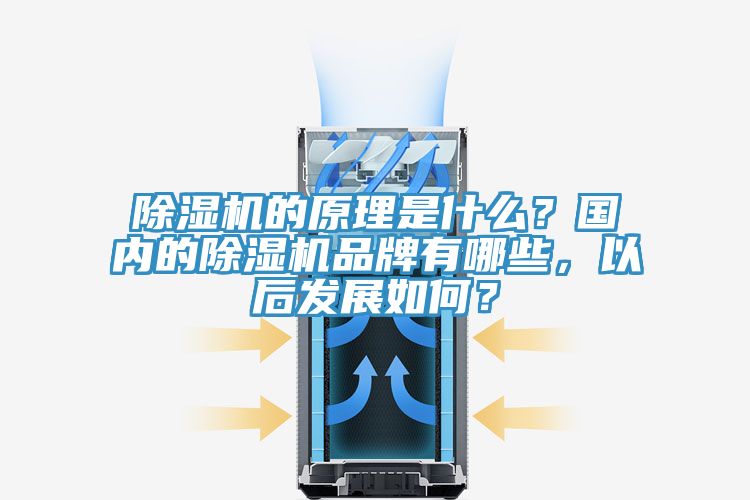 除濕機的原理是什么？國內(nèi)的除濕機品牌有哪些，以后發(fā)展如何？