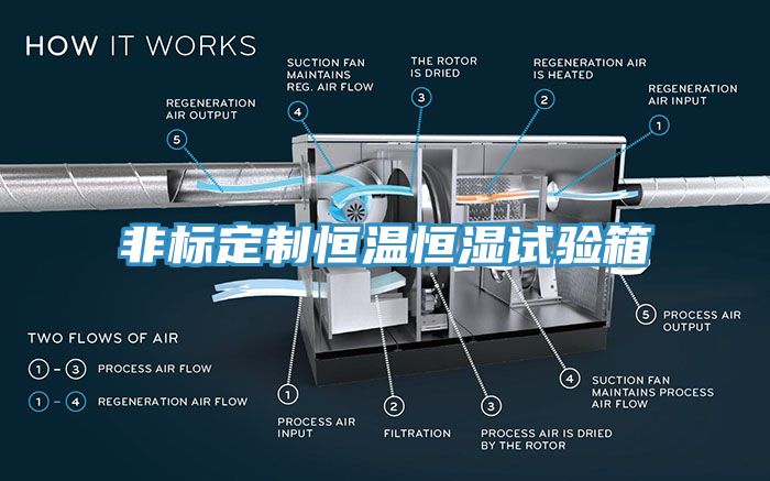 非標(biāo)定制恒溫恒濕試驗箱