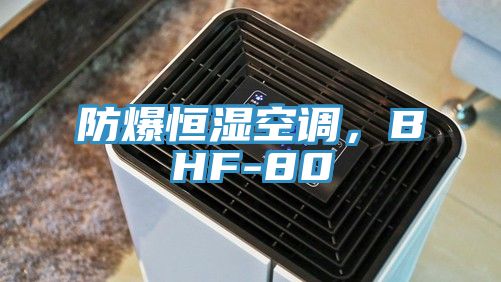 防爆恒濕空調，BHF-80